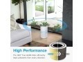 Levoit Core True HEPA 3-Stage Pet Allergy Filter