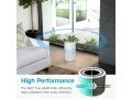 Levoit Core True HEPA 3-Stage Toxin Absorber Filter