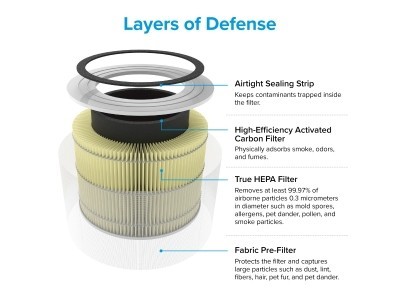 Levoit Core True HEPA 3-Stage Pet Allergy Filter